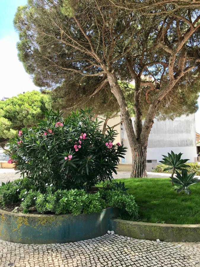 Pine Apartment - A 3M Da Ciclovia Guincho Кашкайш Екстер'єр фото